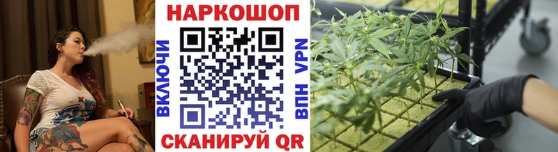 Купить закладку Андреаполь Cocaine  Alpha PVP  АМФЕТАМИН  Мефедрон  Бошки Шишки 