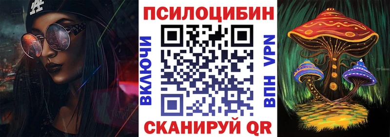 Галлюциногенные грибы Psilocybine cubensis купить цена Андреаполь